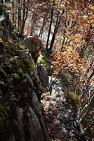 Impressionen von der  Wehrpolitische Reise 2008 - Plckenpass/Ktschach-Mautheng