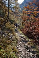 Impressionen von der  Wehrpolitische Reise 2008 - Plckenpass/Ktschach-Mautheng