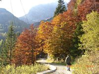 Impressionen von der  Wehrpolitische Reise 2008 - Plckenpass/Ktschach-Mautheng