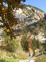 Impressionen von der  Wehrpolitische Reise 2008 - Plckenpass/Ktschach-Mautheng