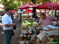 Impressionen von der  Wehrpolitische Reise 2008 - Plckenpass/Ktschach-Mautheng