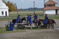 Fotogalerie WPol-Reise 2013 nach PECS & MOHACS