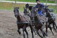 Fotogalerie WPol-Reise 2013 nach PECS & MOHACS