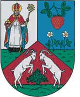 Bezirksvorsteher Erich Hohenberger